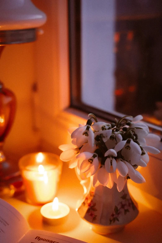 a lit lamp, reading books, and flowers on a windowsill