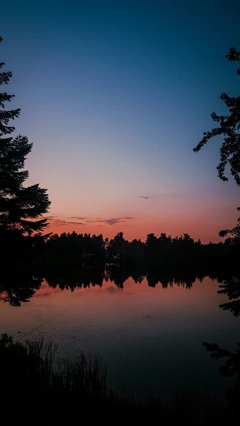 trees stand near the edge of a body of water as the sun sets