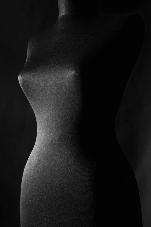black and white image of an torso