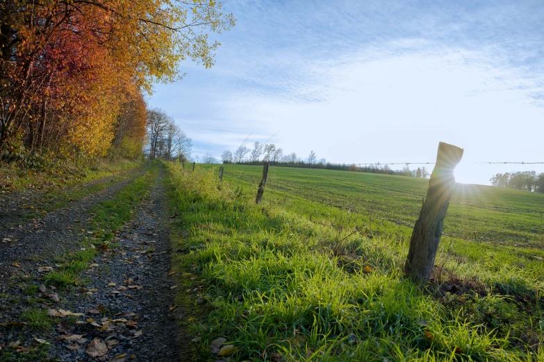 the sun shines on a field with a path