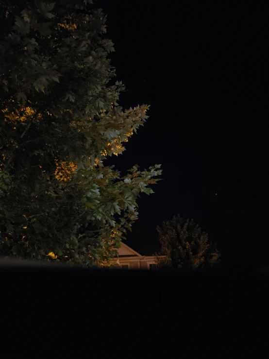 a tall building sitting next to a tree at night