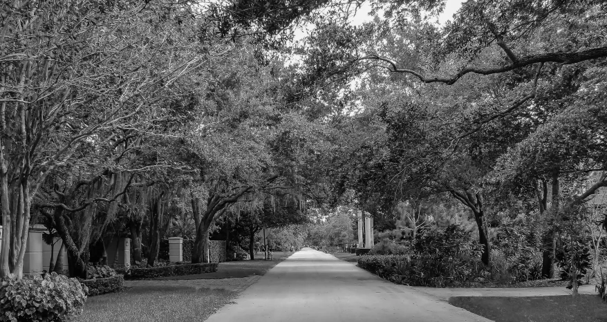 black and white pograph of walkway in park