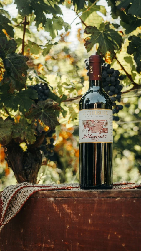 a bottle of red wine is in the shade near some leaves