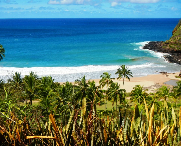 the ocean and beach on a sunny day