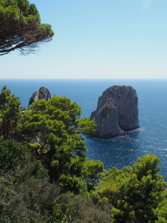 trees and blue water and two rocks near a shore