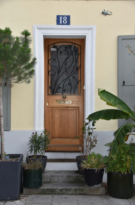 a front door of an apartment with plants in pots