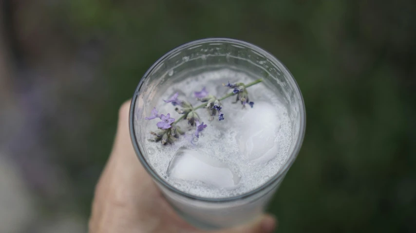 a person holding a glass with a small flower in it