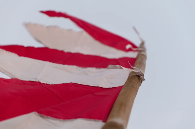 red and white flags with a stick sticking out