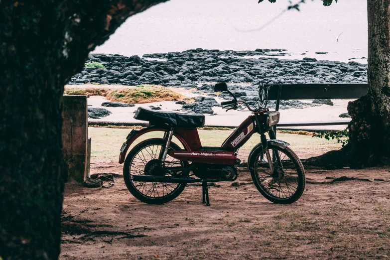 a bike sitting under some tree on a dirt ground