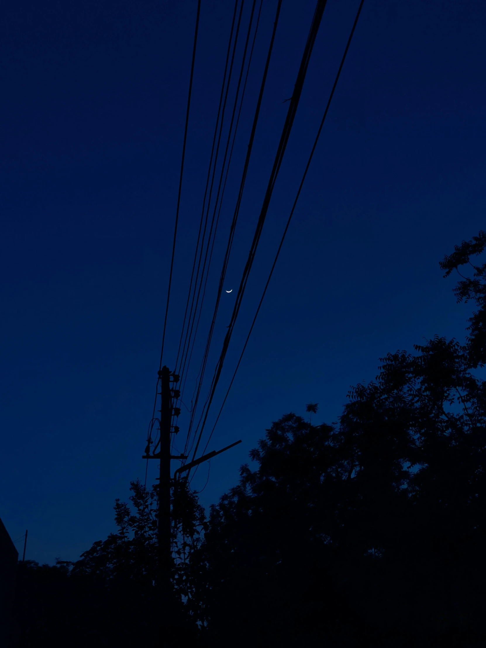 electrical poles and telephone lines in the dark sky