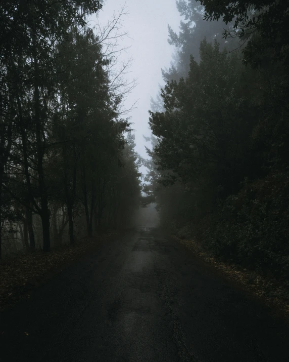 dark country road in an autumn foggy forest