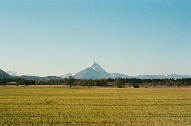 a field with a large mountain range behind it