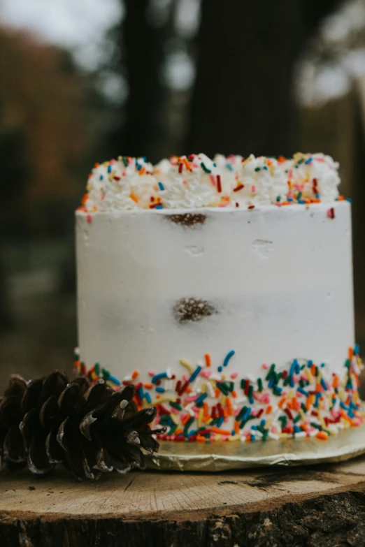white cake with white frosting, rainbow sprinkles and two pine cone