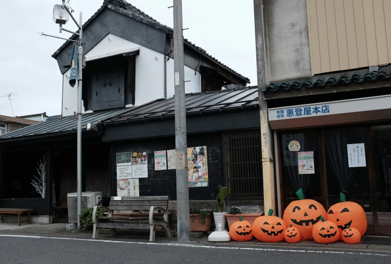 an outdoor area with a row of pumpkins