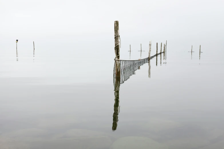 a reflection of a wood pole in the water