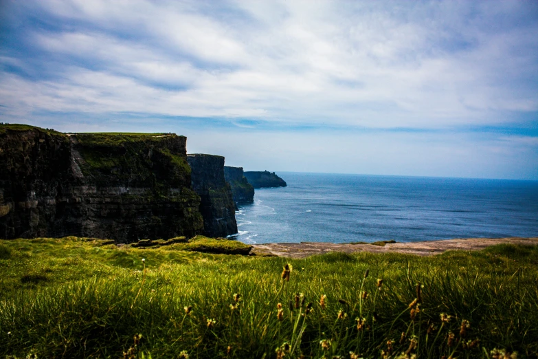 the grass field is growing along the cliff edge