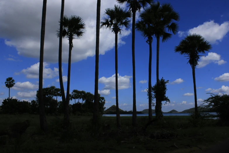 there is blue sky and clouds over the water