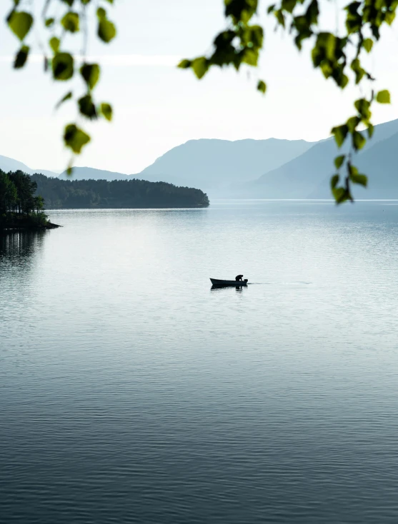 a person rowing on a boat on a calm lake