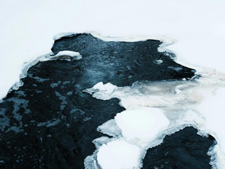 the background of this frozen area shows snow and ice