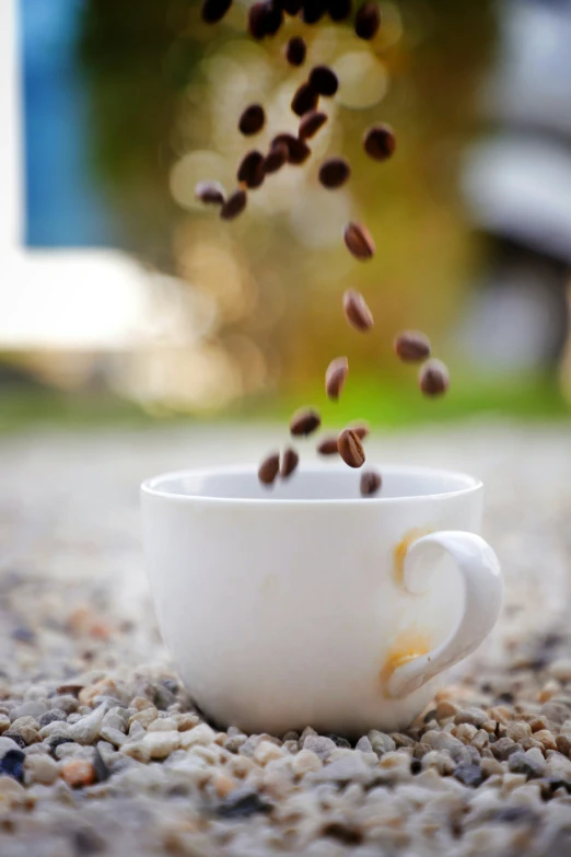 a coffee cup is topped with seeds, while the leaves are gone