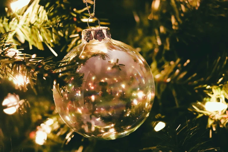 an ornament hanging on a christmas tree