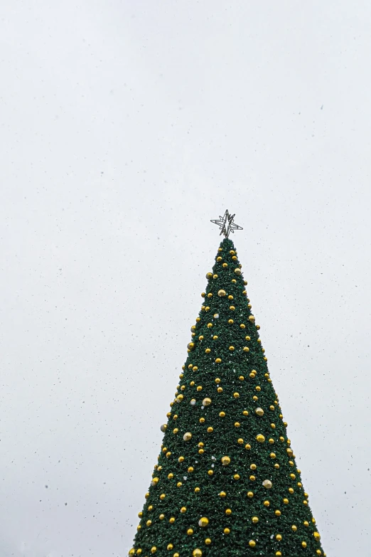 the top of a very large, green christmas tree