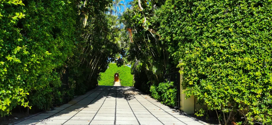 a large open yard area has a walkway that is lined with trees