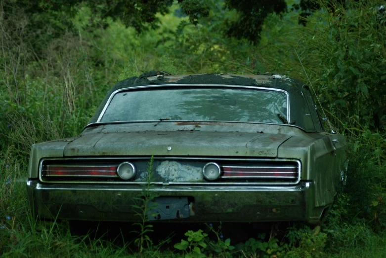 the hood and fenders of a classic mustang in a field