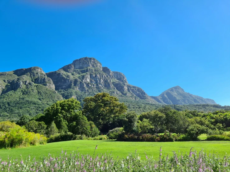 grassy field with mountains in the background