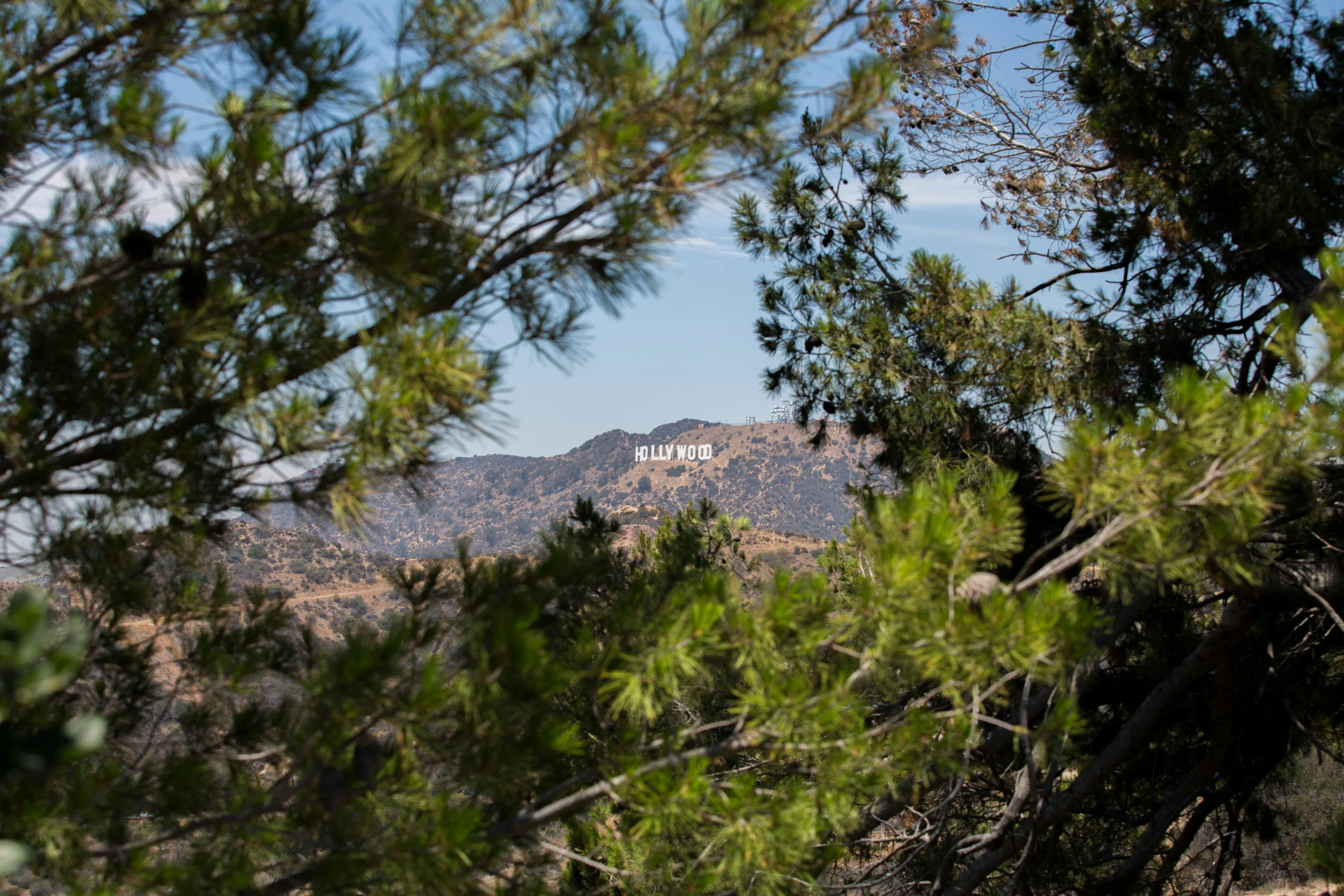 a scenic view from a wooded area of mountains