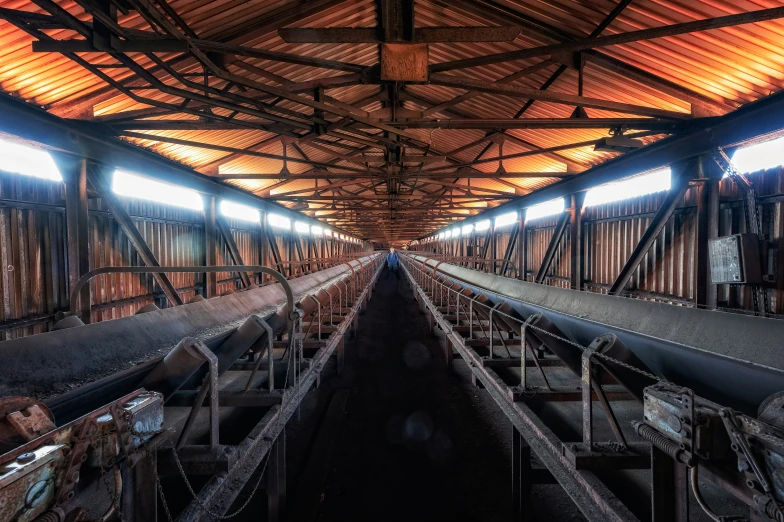 the inside of a barn full of cattle