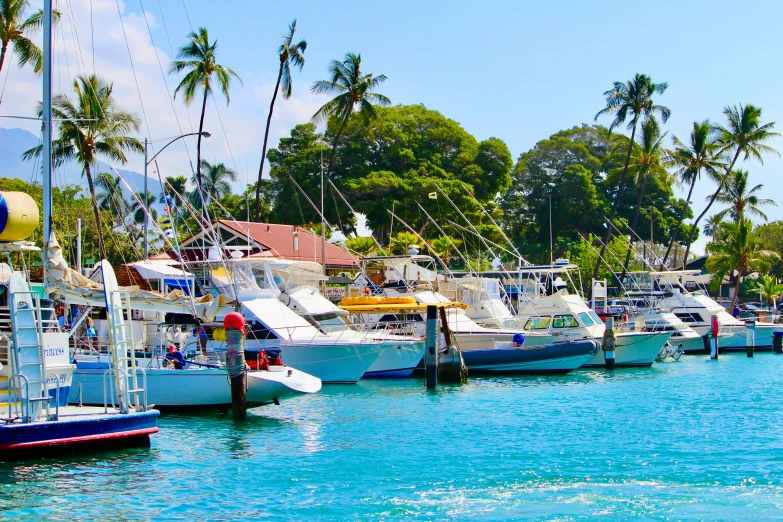 many boats are parked at a pier in the water