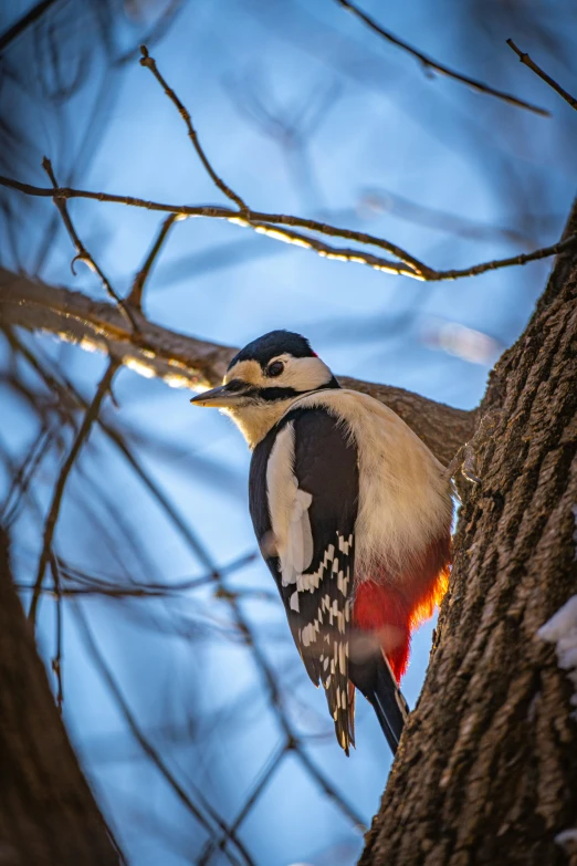 a bird is standing up on a nch