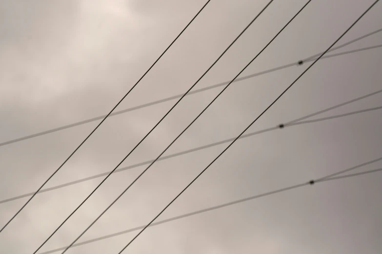 a bird sitting on the power lines under a cloudy sky