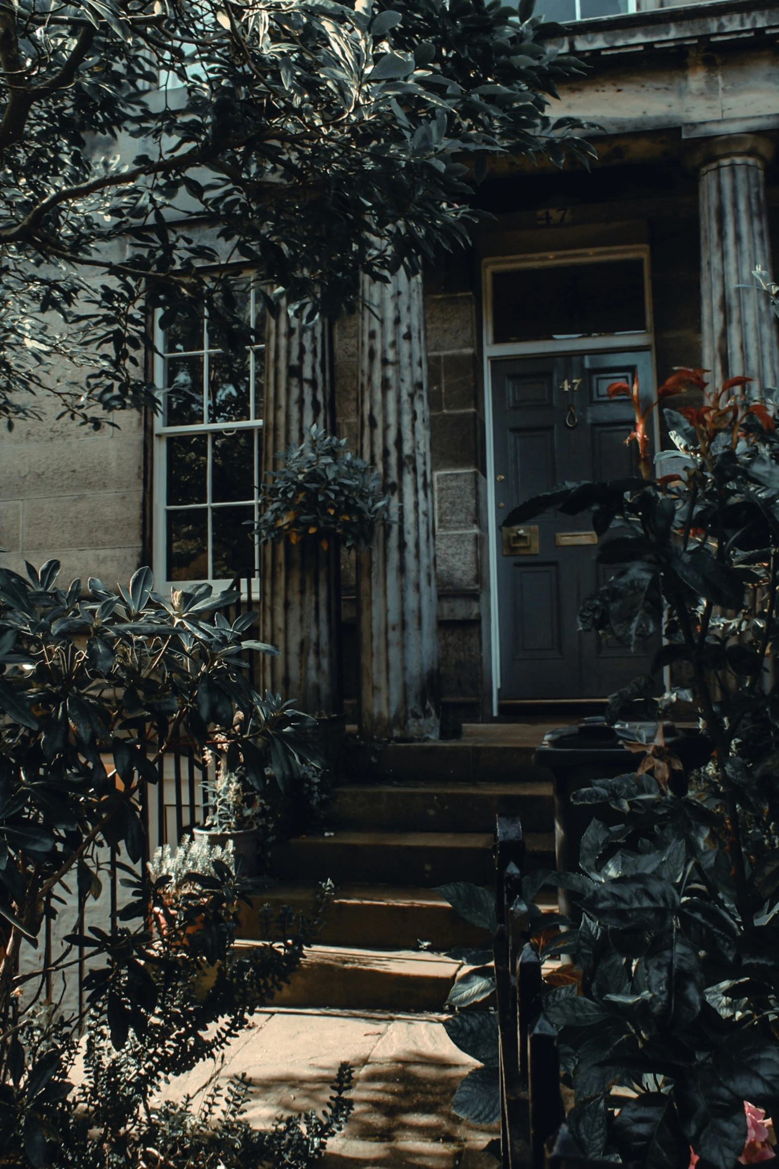 some very pretty houses with nice curtains on the windows