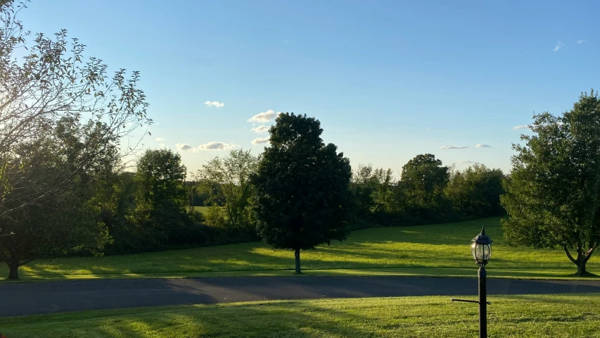 an empty park with a fire hydrant in the middle