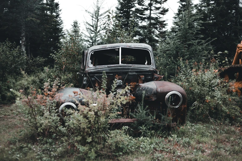 an old abandoned truck is surrounded by tall trees