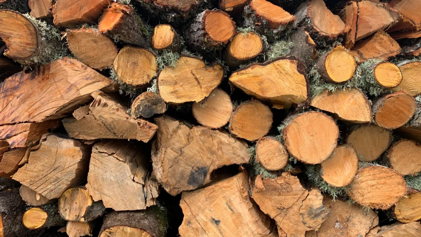 a bunch of cut up wood stacked next to each other