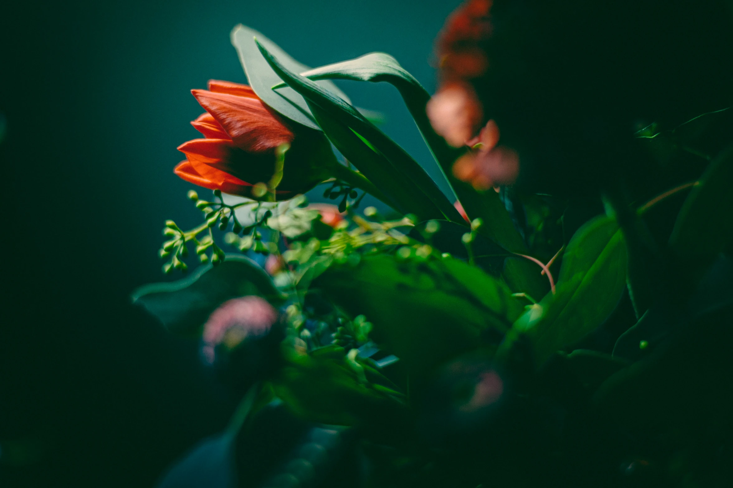 a flower with an orange center on a table