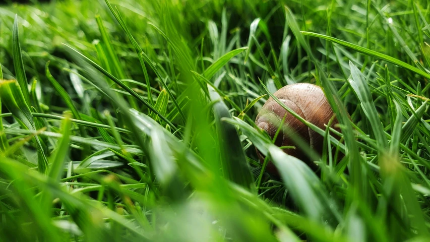 a wooden mushroom sitting in tall grass on a sunny day