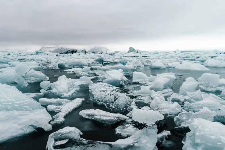 large and many ice chunks on a body of water