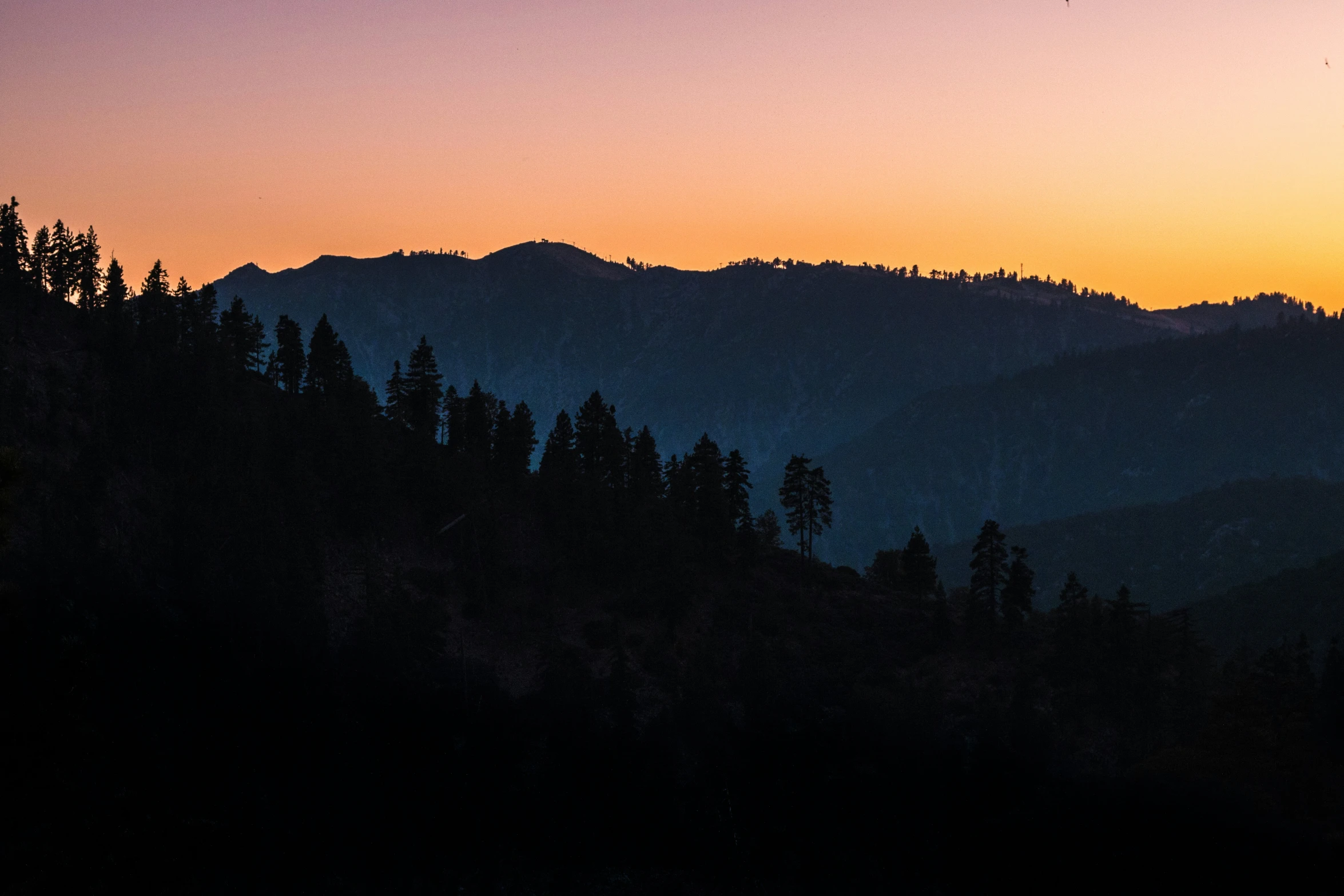 the silhouette of trees on a mountain is shown at sunrise