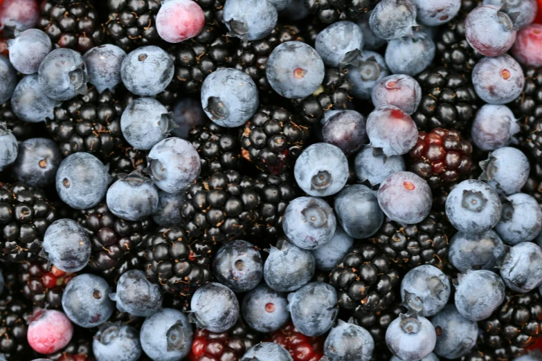 some blackberries and blueberries are together