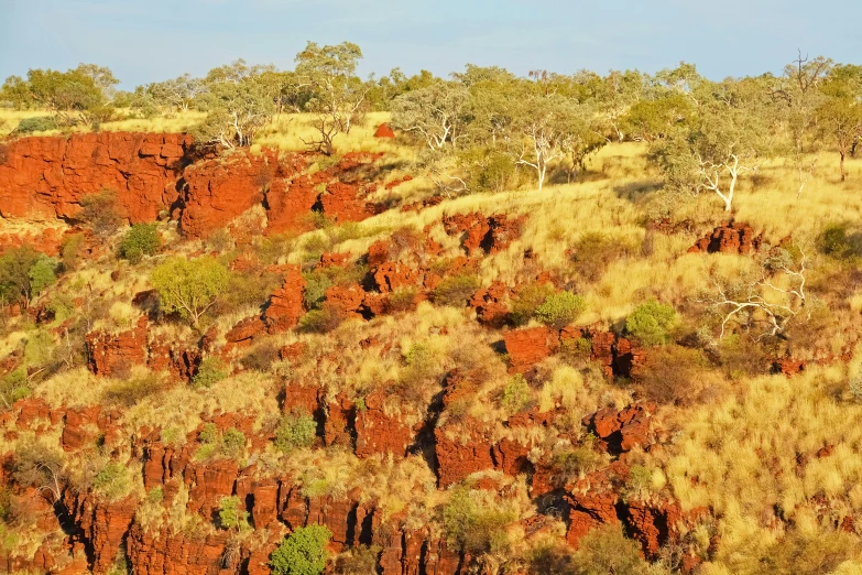 a landscape po showing a very large group of tall rocks