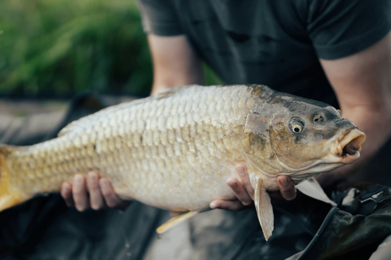 a person holding a fish on the end of it's lure