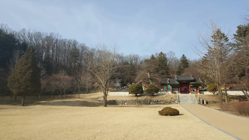 the park is covered with a lot of trees and grass