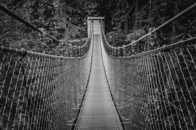 the suspended bridge that leads to a small area of the forest