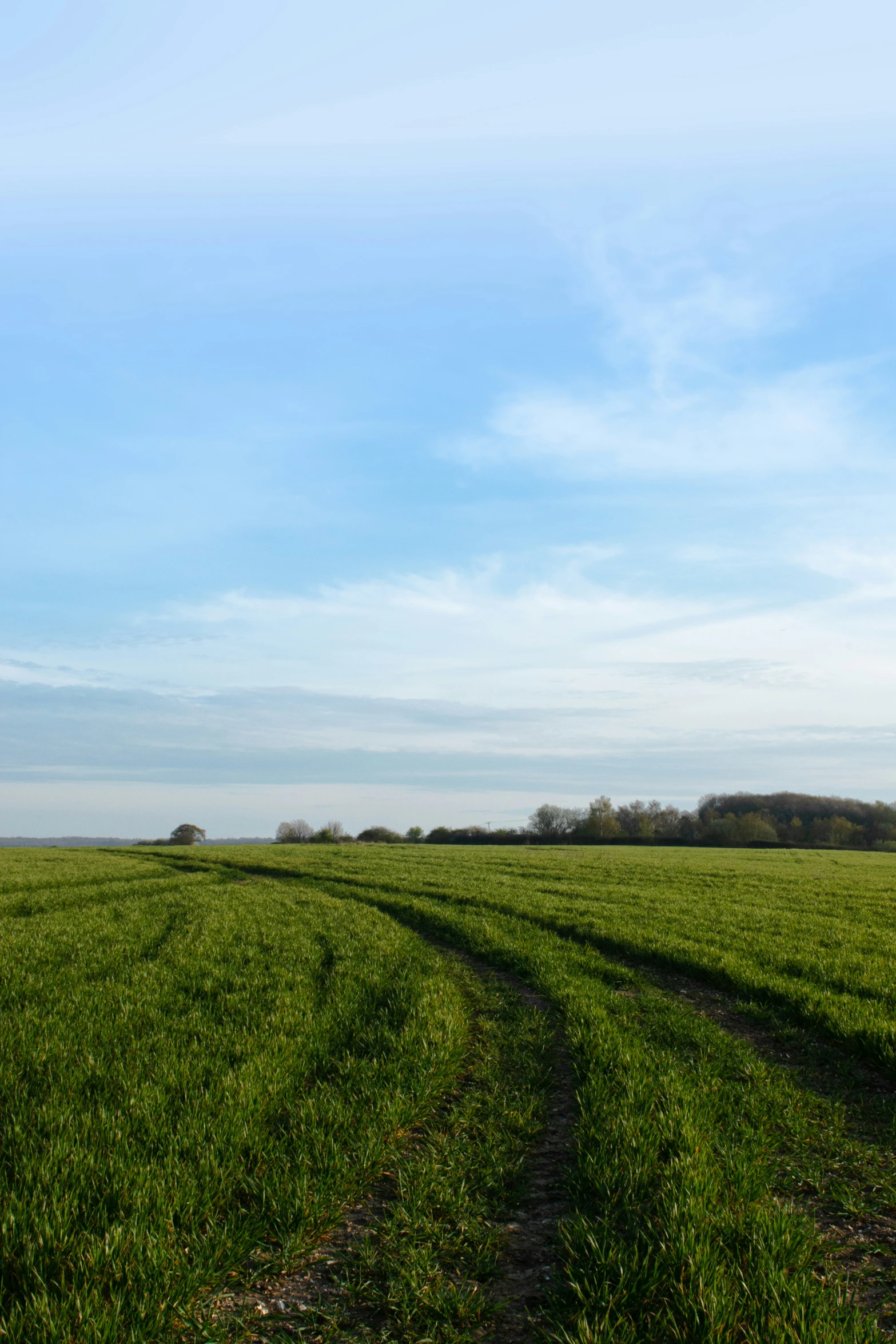 a view of a field with lots of green grass and clouds