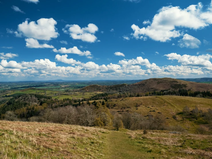 a grassy hill with trees, rolling hills and cloudy sky