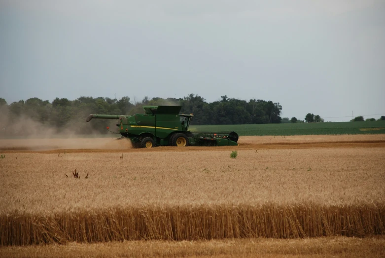 a green truck driving through a grain field